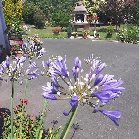 Les Hirondelles Du Paradis 6 Rue Des Oiseaux Bed & Breakfast Beaulieu-sur-Sonnette Exterior photo